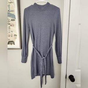 Abercrombie & Fitch sweater dress